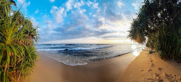 Foto panorama van zonnig zandstrand tropisch oceaanstrand