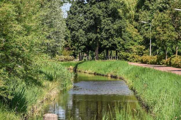 Panorama view of brick houses and vegetation