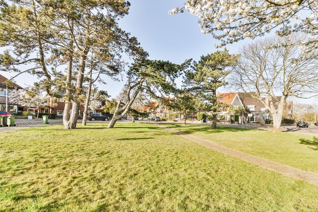 Panorama view of brick houses