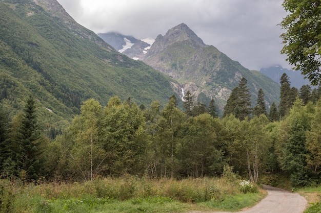 Vista panoramica della scena della foresta profonda nel parco nazionale di dombay, caucaso, russia. paesaggio estivo, tempo soleggiato e giornata di sole