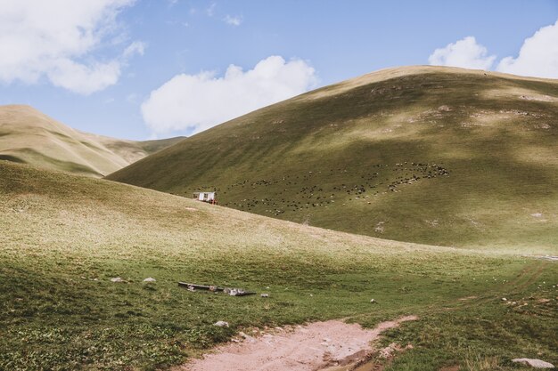 Панорама гор в национальном парке Домбай, Кавказ, Россия, Европа. Драматическое голубое небо и солнечный летний пейзаж