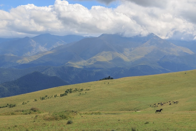 Панорамный вид на горы и долины в национальном парке Домбай, Кавказ, Россия, Европа. Драматическое голубое небо и солнечный летний пейзаж