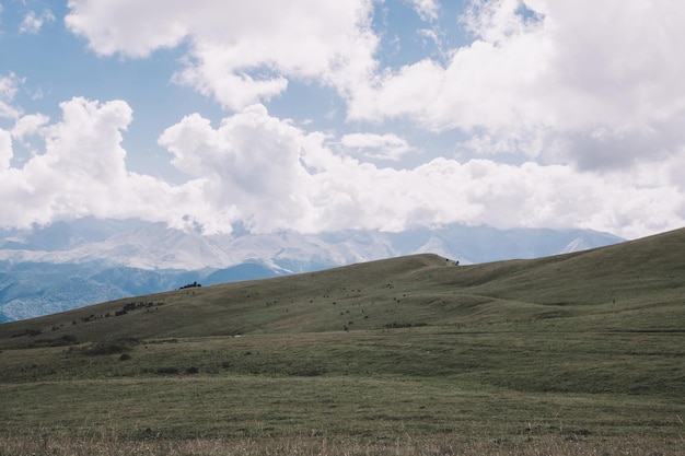 Foto vista panoramica delle montagne e delle scene della valle nel parco nazionale di dombay, caucaso, russia, europa. cielo azzurro drammatico e paesaggio estivo soleggiato