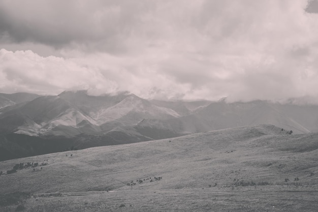 Vista panoramica delle montagne e delle scene della valle nel parco nazionale di dombay, caucaso, russia, europa. cielo azzurro drammatico e paesaggio estivo soleggiato