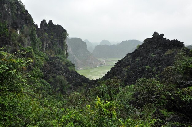 Panorama view of rice fields and limestone rocks and from Hang Mua Temple viewpoint