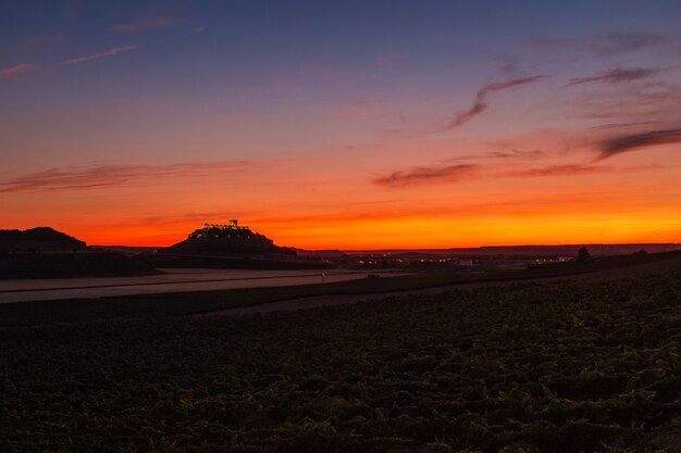 Panorama-view van wijngaarden en akkers in de schemering bij de Ribera del Duero in Spanje