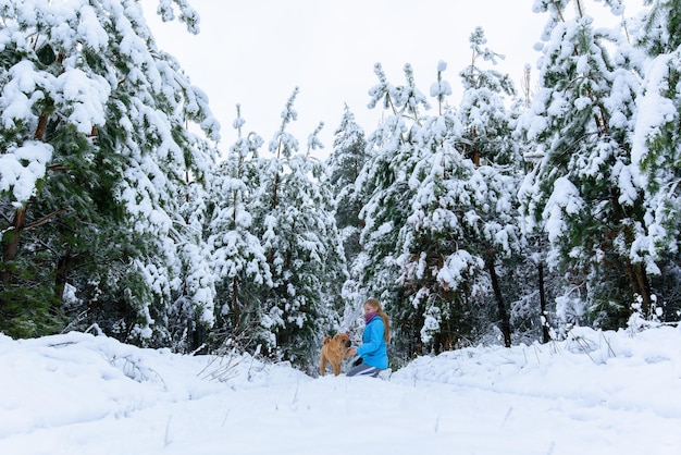 枝の雪の中の松とトウヒの冬の森のパノラマビュー。風景。