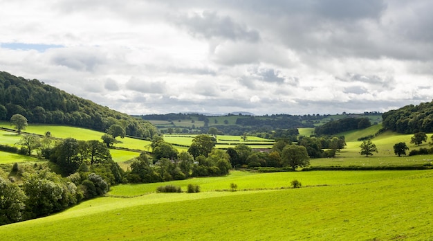 Panorama of welsh countryside