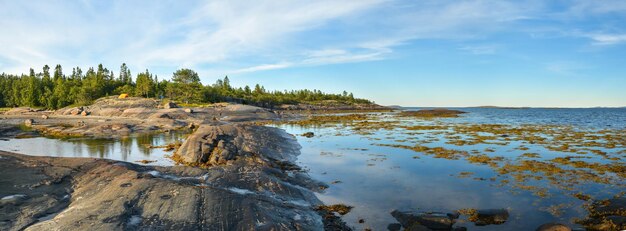 Panorama of the White Sea coast