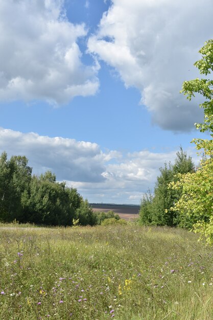 Панорама широкого поля и облаков