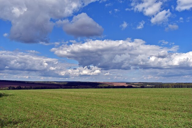 Panorama of wide field and clouds