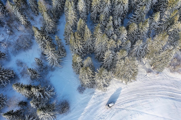 パノラマ冬の森の風景雪、タイガの抽象的な季節の景色、雪に覆われた木々