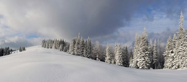 Photo panorama of the winter landscape in the mountains of carpathians