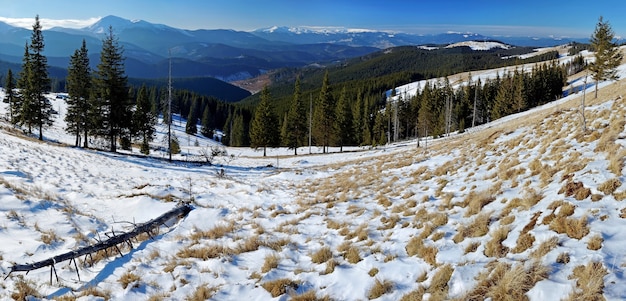 Panorama del paesaggio invernale nelle montagne dei carpazi