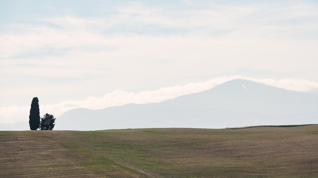 사이프러스가 있는 파노라마와 멀리 Amiata Tuscany 이탈리아 산