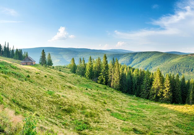 Panorama with green mountains, hills and forest