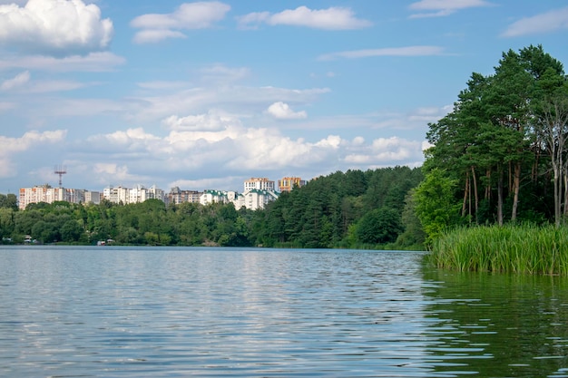 Панорама Житомира зеленый летний лес с рекой