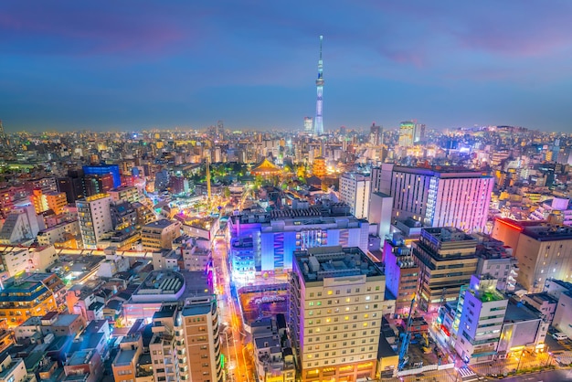 Panoramafoto van de skyline van de stad Tokio