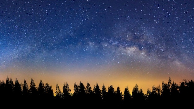 Panoramalandschap met melkweg Nachtelijke hemel met sterren en silhouet van dennenboom