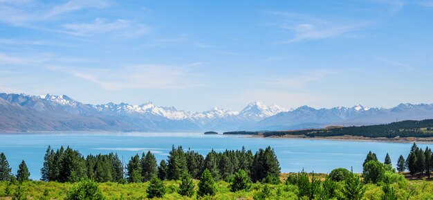 Panoramamening van mooie scène van mt cook in de zomer naast het meer met groene boom en blauwe hemel. nieuw zeeland i