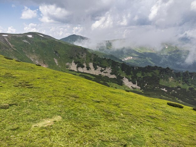 Панорамный вид на горы летом с высоты птичьего полета Альпийский луг