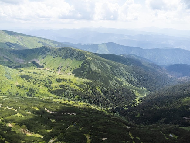 Панорамный вид на горы летом с высоты птичьего полета Альпийский луг