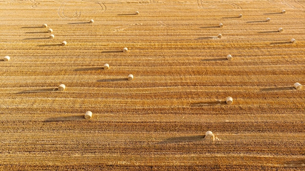 Vista aerea panoramica sopra la cima di un paesaggio estivo di campo di segale falciato agricolo.