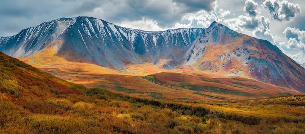 Panoramic autumn landscape with yellow dwarf birch on hills and beautiful rocky mountains in sunlight under dramatic sky. multicolor mountain scenery with unusual rocks in autumn colors in sunshine