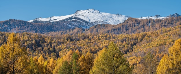 Panoramic autumn view, sunny day.