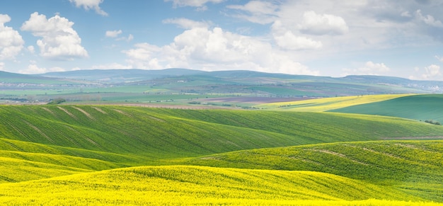 Panoramic background of colorful yellowgreen hills with blue sky and clouds