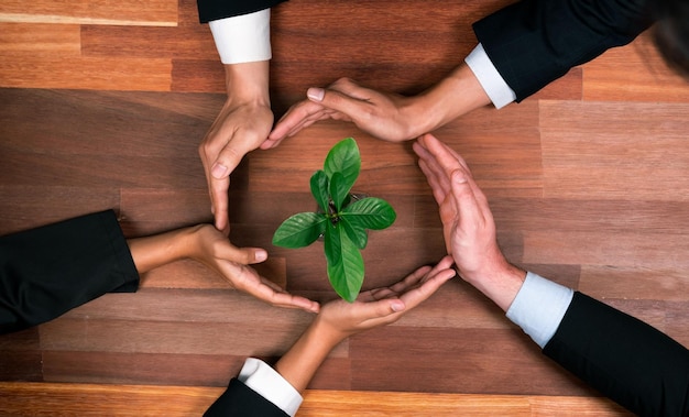 Foto banner panoramico vista dall'alto investimento aziendale sulla riforestazione da parte di un gruppo di persone che tengono insieme l'impianto promuovendo la riduzione della co2 e la conservazione naturale per salvare la terra con un futuro sostenibile