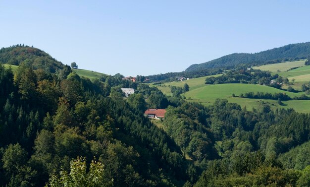 panoramic Black Forest scenery