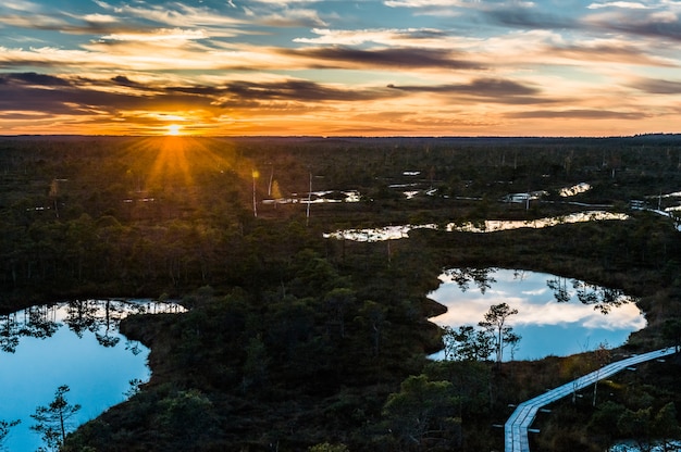 Панорамный болото пейзаж осенью на закате с солнечными лучами. Променад в Кемерском национальном парке. Латвия, Прибалтика.