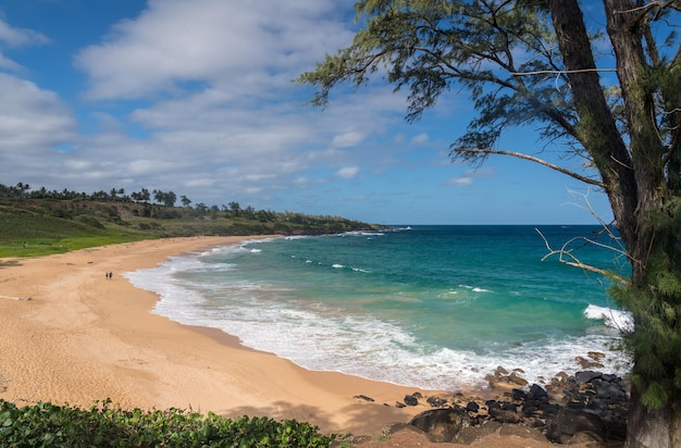 Panoramic of Donkeys or Paliku beach on the coast of Kauai in Hawaii