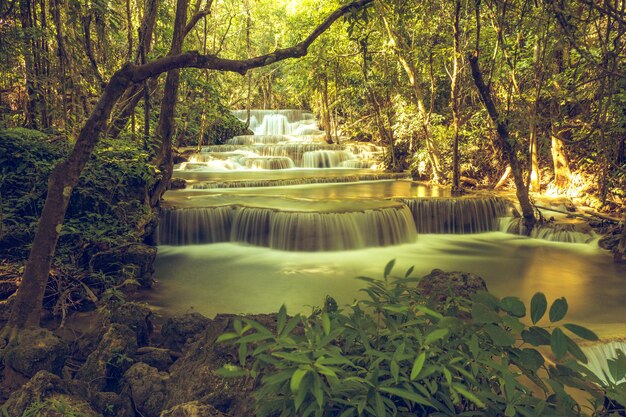 Панорамный экзотический красивый тропический водопад в глубоком тропическом лесу Свежие водопады в глубоком лесу
