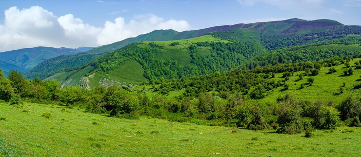 山々と緑豊かな植生のある谷のパノラマの緑の風景。サンタンデール。