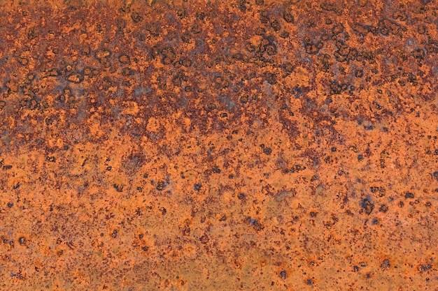 Panoramic grunge rusted metal texture rust and oxidized metal background Old metal iron panel