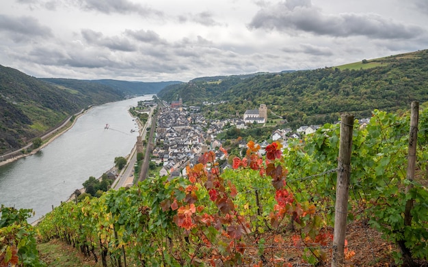Фото Панорамное изображение обервезеля вблизи реки рейн долина рейн германия