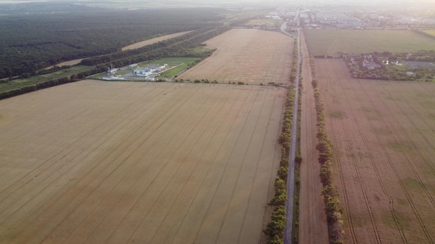 Panoramic landscape agricultural wheat fields industrial fields forest city