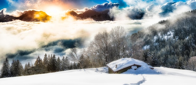 雪の中で孤立した庵のパノラマ風景