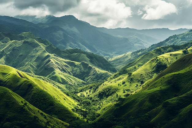 Панорамное пейзажное изображение зеленого леса с горой и деревьями на поверхности