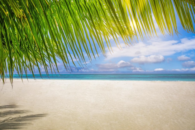 白い砂浜の海の水と青空の澄んだ背景のパノラマ風景を見る。熱帯の海岸