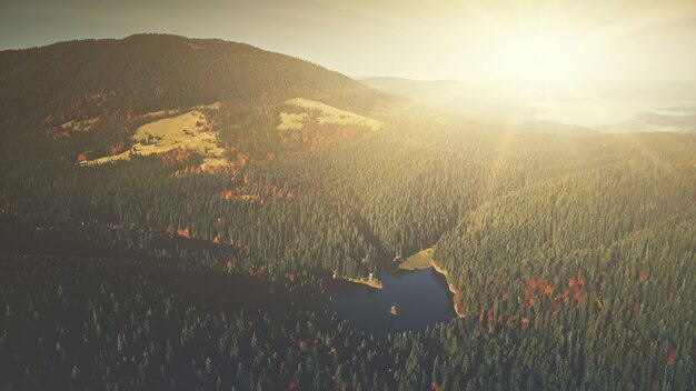 Photo panoramic mountain forestry slope dawn aerial view sunrise highland lake wild nature habitat