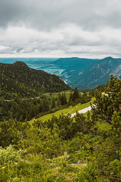 ドイツのバイエルン州のパノラマの山の景色高山の風景トウヒの森の丘の道路の牧草地