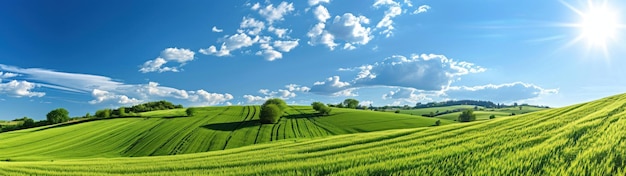 写真 緑の草原と雲の青い空のパノラマ的な自然風景