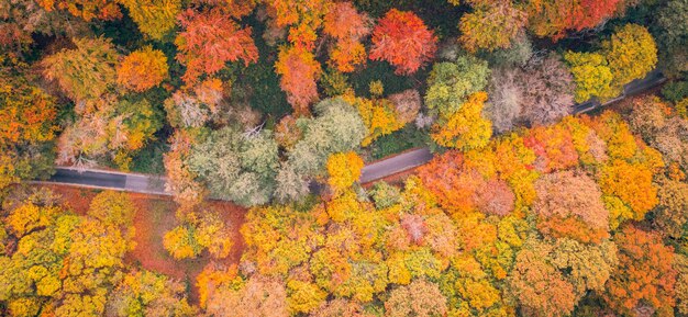 Panoramic nature landscape, soft pastel colors, dream nature, sunset fall idyllic, top aerial view