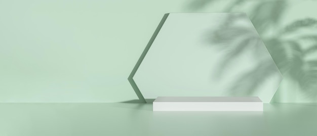 緑の背景に植物の影が付いた生態学的製品プレゼンテーションのためのパノラマ表彰台 3D レンダリング