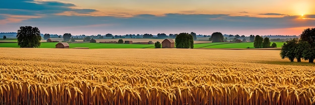 Panoramic rural view fields of wheat rich crops farmer's illustration ai generated