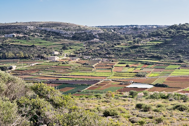 Panoramic scenic view of typical winter Malta fields