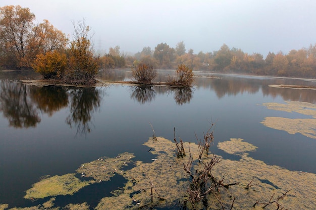 Panoramic shot of an autumn foggy morning in a swamp...